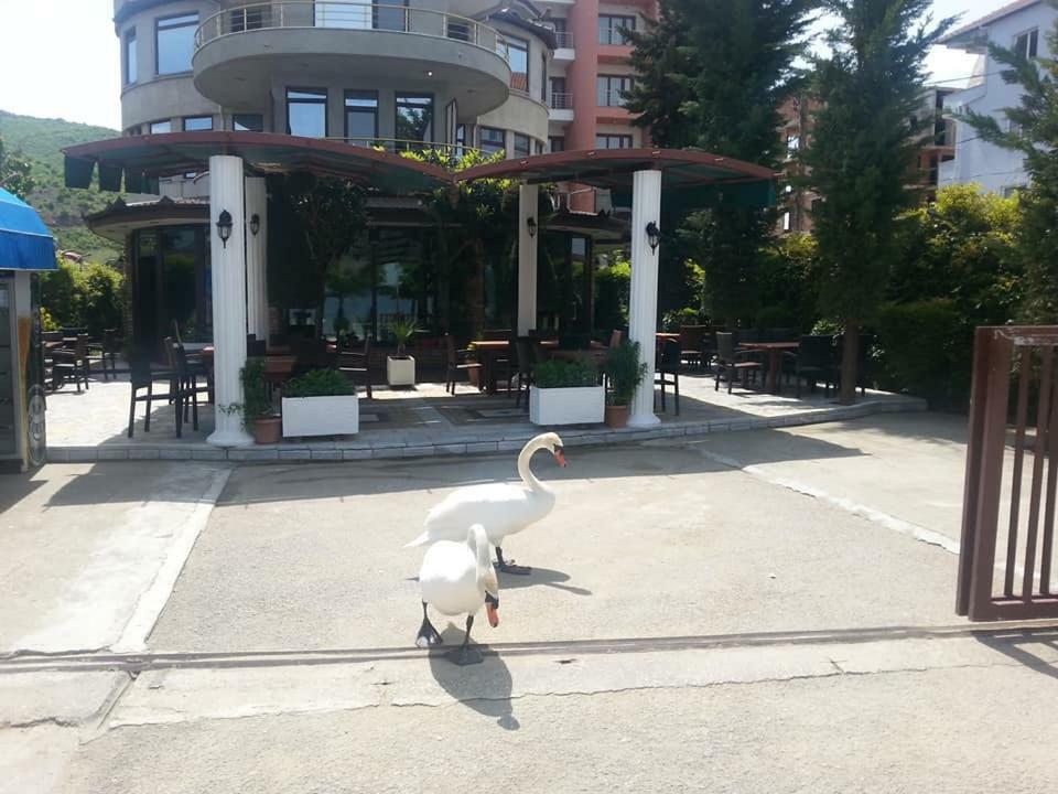 Hotel Saint Marena
